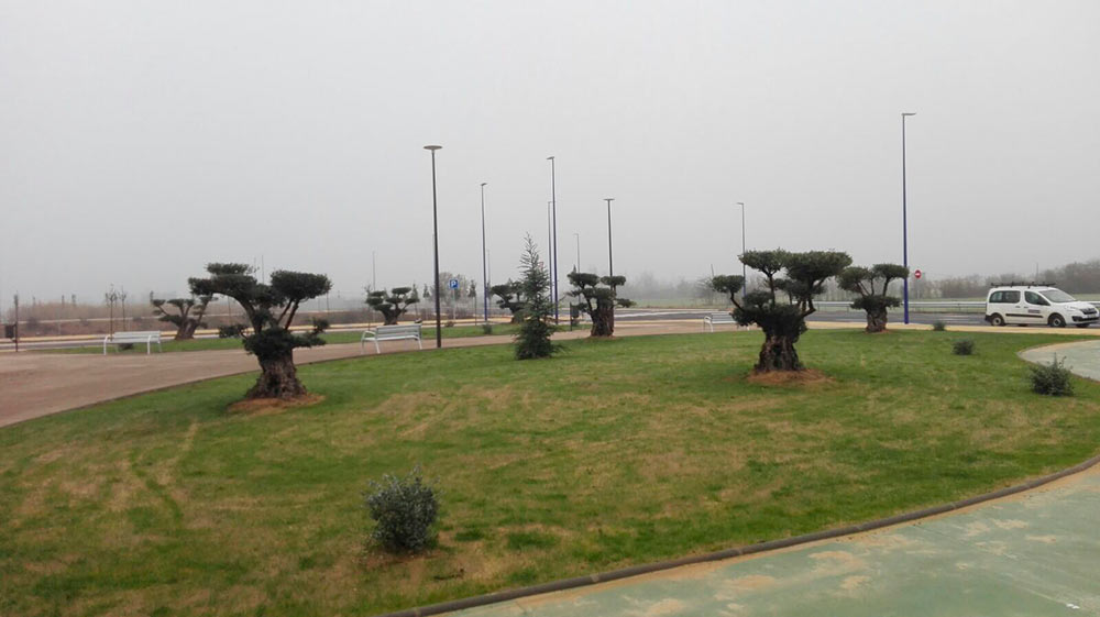 Zonas verdes, parques y jardines 2 PARQUES Y JARDINES