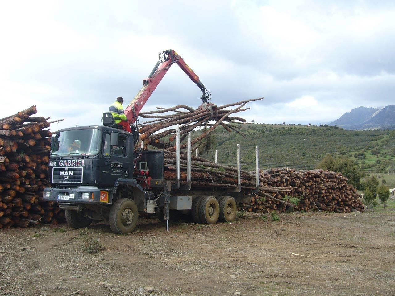 Tratamientos silvícolas 7 Tratamientos silvícolas tratamientos silvícolas 6