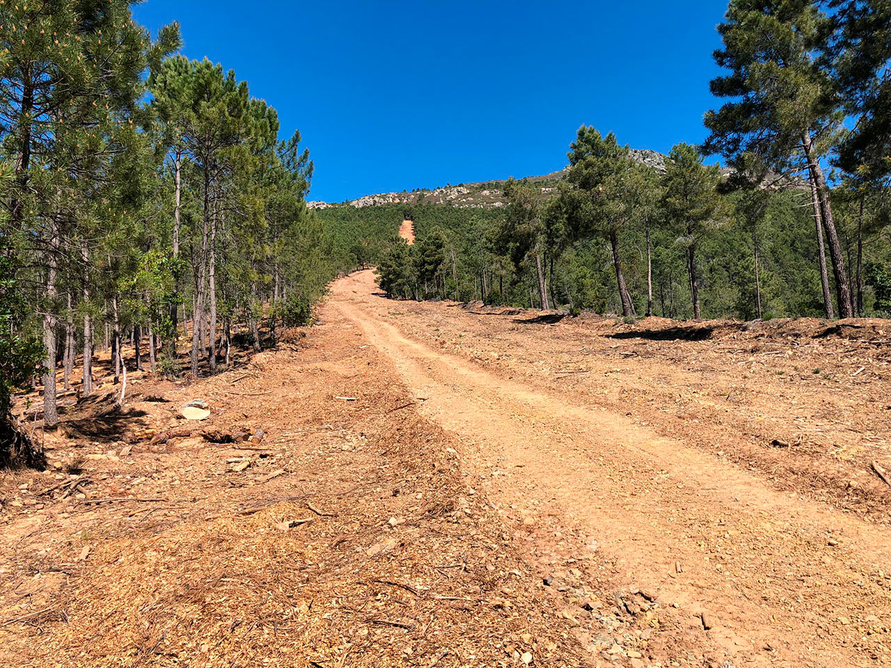 Movimientos de tierra 2 MOVIMIENTO DE TIERRAS