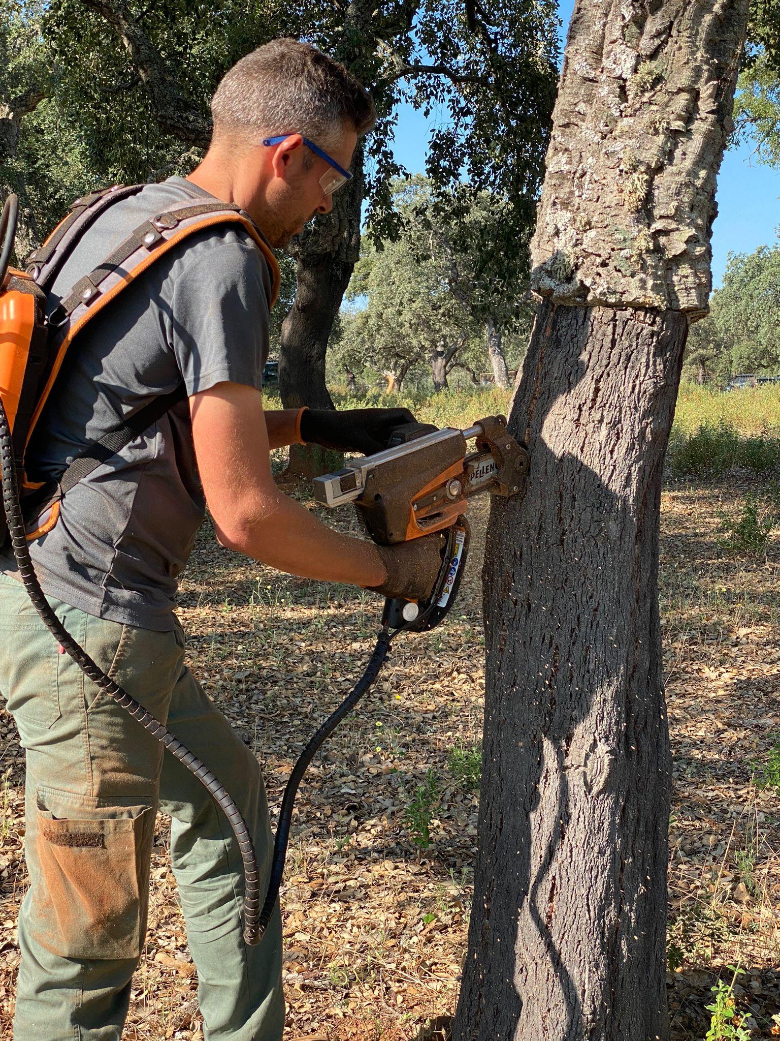 Saca de corcho 4 SACA DE CORCHO