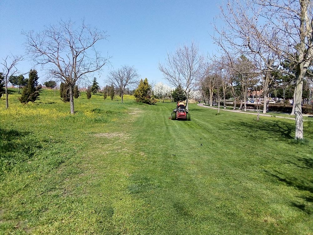 Zonas verdes, parques y jardines 3 PARQUES Y JARDINES