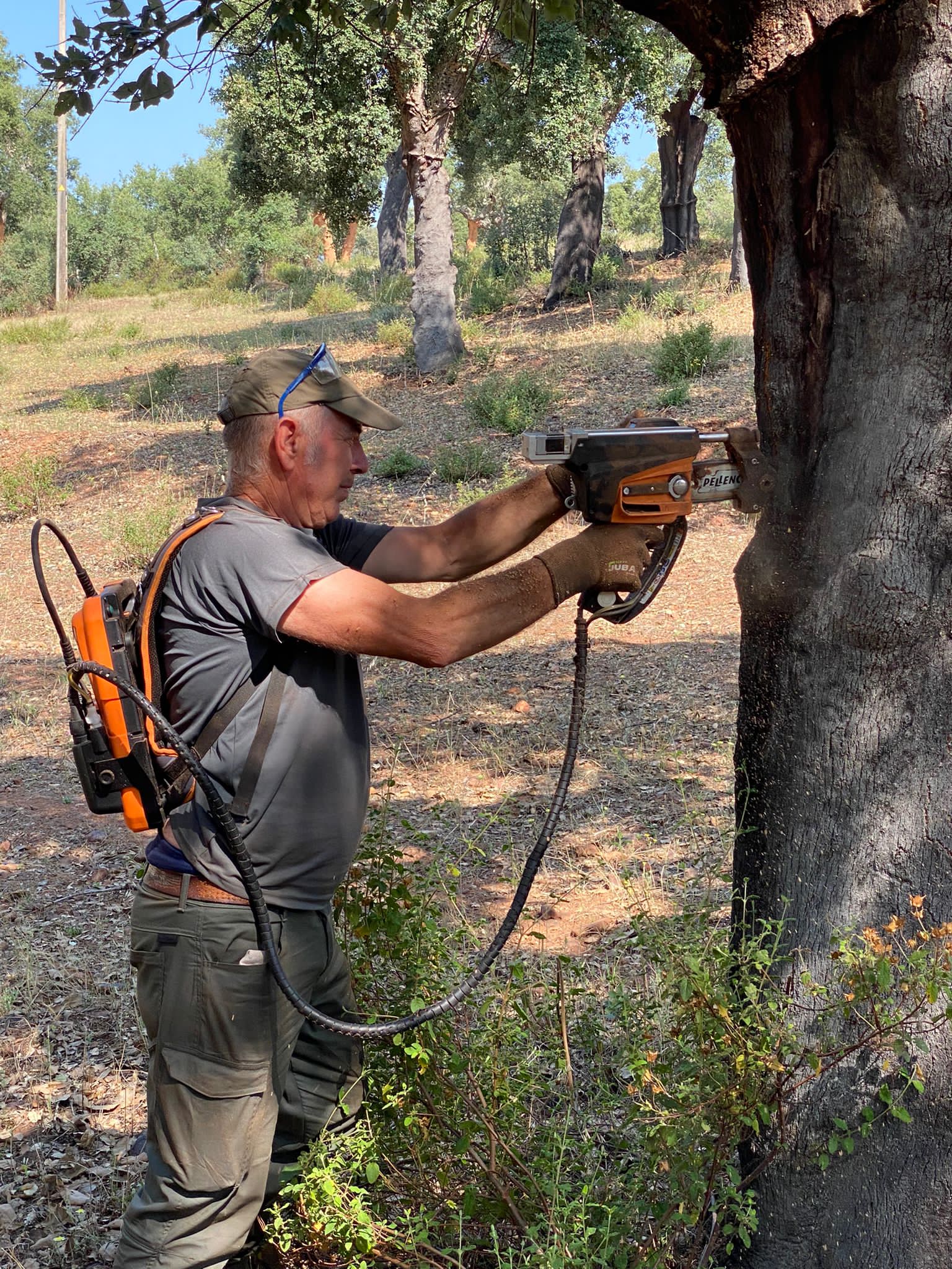 Saca de corcho 5 SACA DE CORCHO